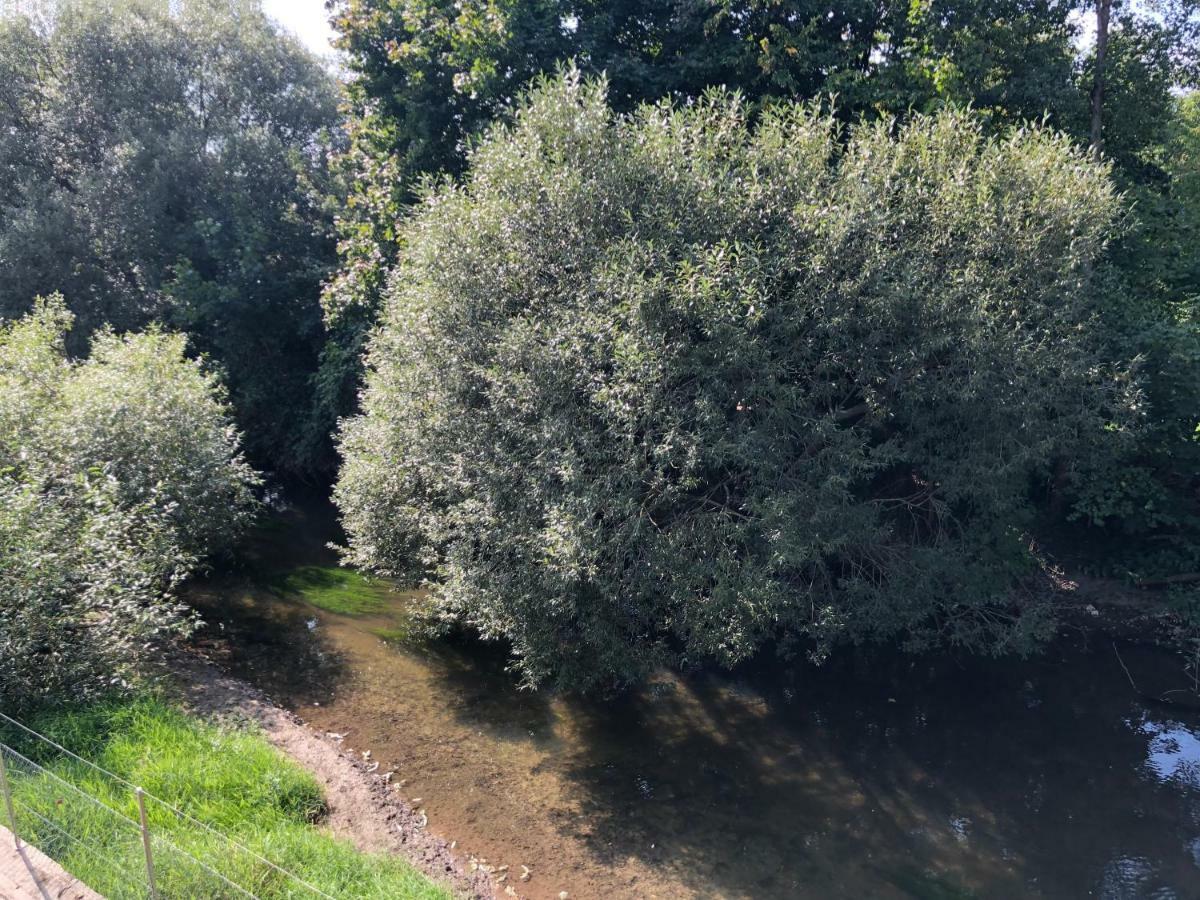 Muehleinsel Guest house 3*